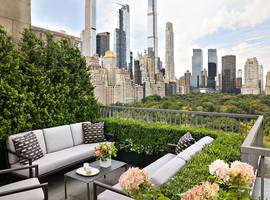 Central Park Overlook