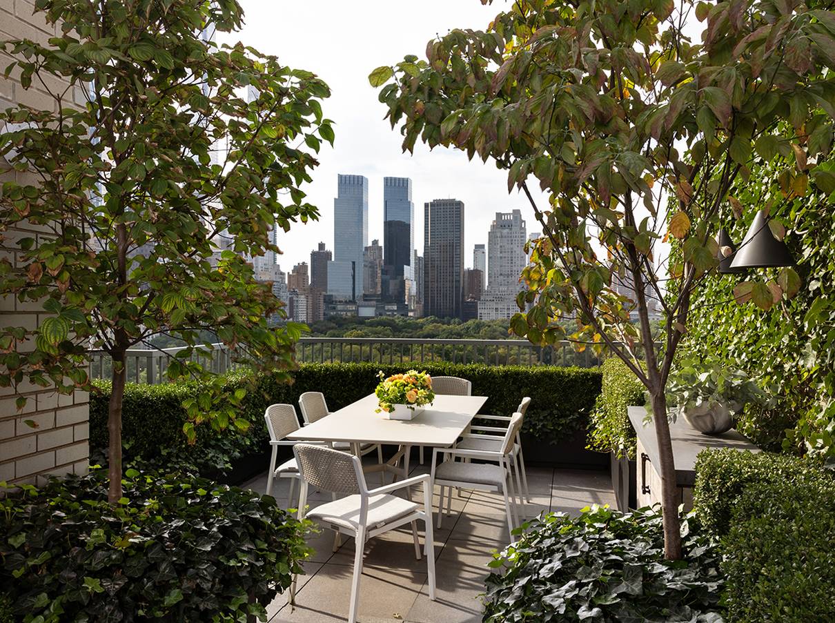 Central Park Overlook