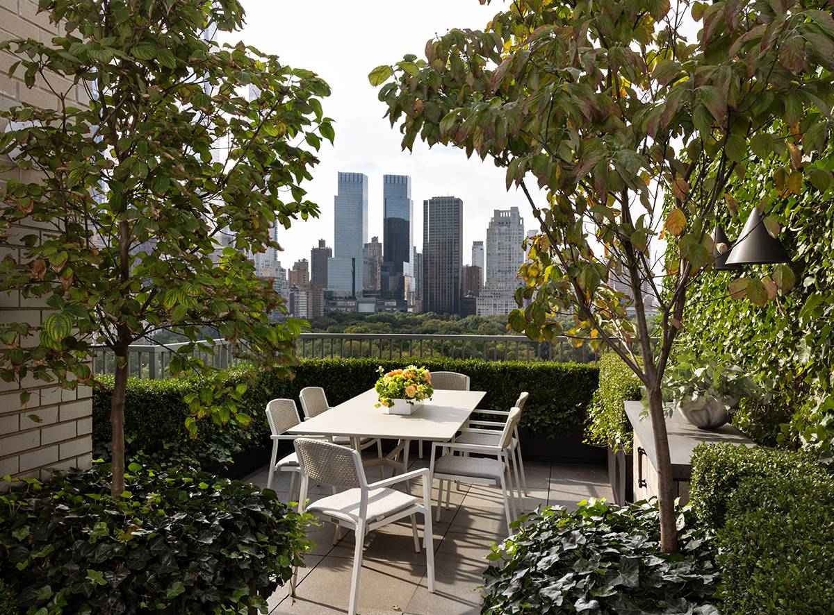 Central Park Overlook